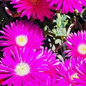 Sold! Holding 4 Tparke